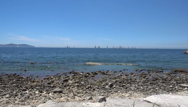 Sailboats by the shore