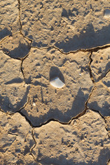 texture dry cracked earth