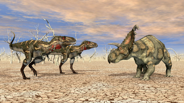 Nanotyrannus and Albertaceratops