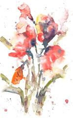 Stylized tulips on white, watercolor painting - 119267819