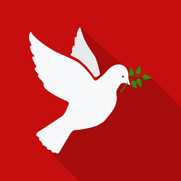 Dove of peace flying with a green twig olive