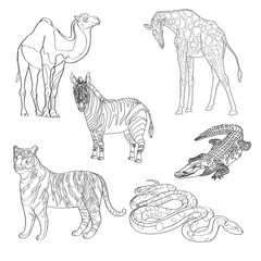 vector illustration giraffe, zebra, crocodile, camel, snake and tiger. black line.