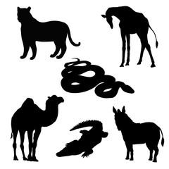 vector illustration giraffe, zebra, crocodile, camel, snake and tiger. black silhouette.