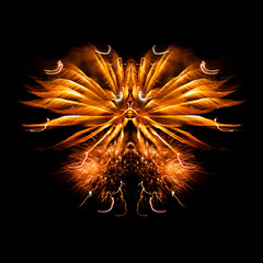 Feux d'artifice sur fond noir