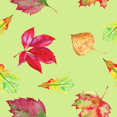 Fototapeta premium The background of autumn leaves. Seamless pattern. Watercolor illustration.