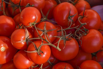 Rispen Tomaten Detailansicht
