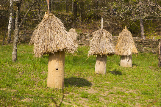 Ancient Beehives of Tree Trunk and Straw