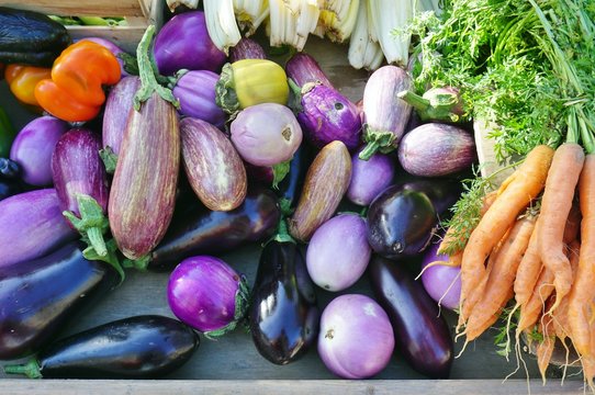 Purple eggplants and colorful summer vegetables