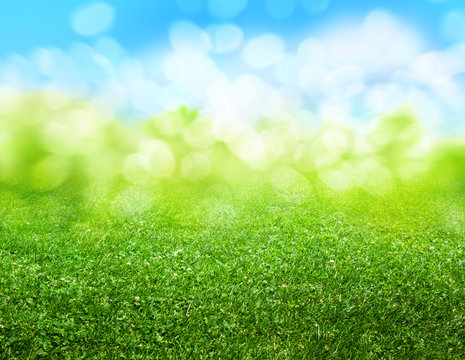green grass blurred background