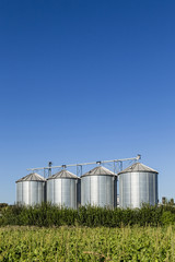 four silver silos in field under   blue sky