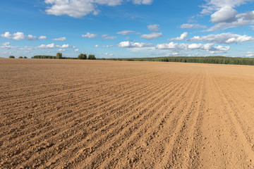 Fototapeta premium arable field farm and blue sky