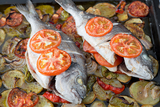 Gilt-head bream baked