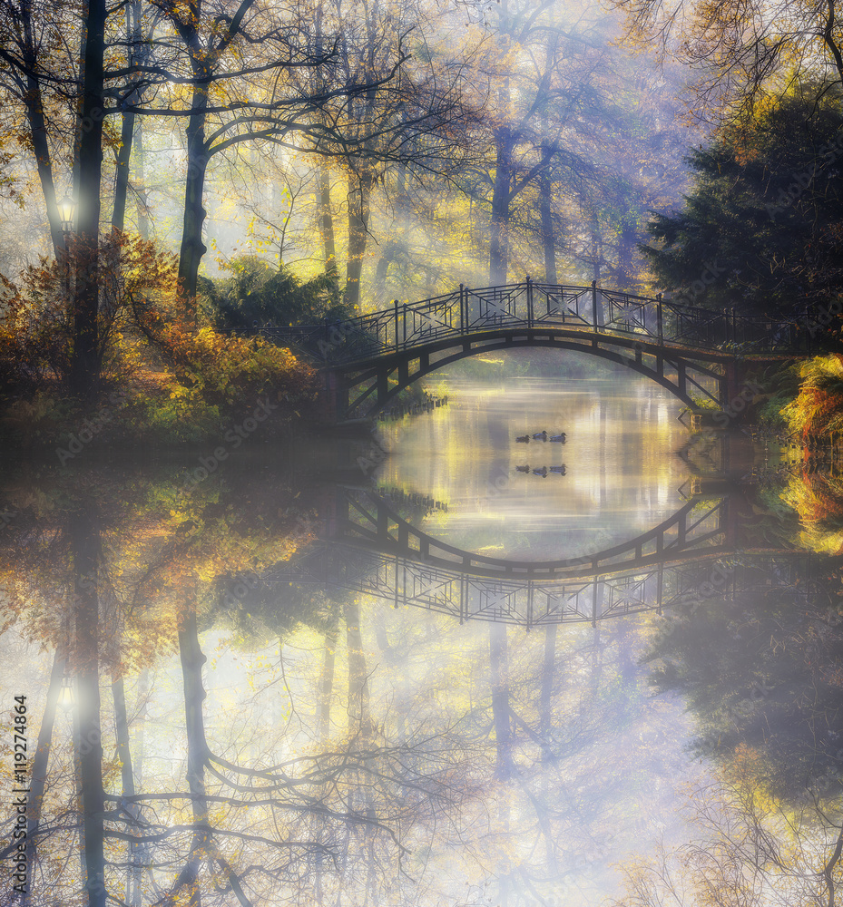 Poster Beautiful romantic bridge in a park with colorful trees and sunlight and reflections in pond water autumn background