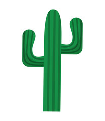 cactus plant desert striped nature icon. Flat and isolated design. Vector illustration