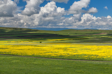 Obraz premium Urban and natural sites near Tbilisi, Kutaisi, Borjomi