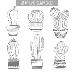 Cactus hand drawn. Set of cactus in pot isolated on white background.