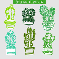 Cactus hand drawn. Set of cactus in pot isolated on white background.