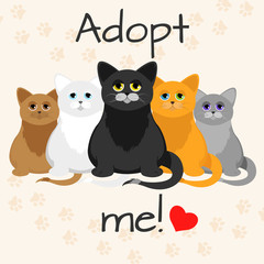 Cats in a cartoon style. Do not shop, adopt. Cat adoption concept. Vector illustration