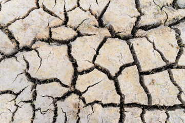 cracked earth as a background