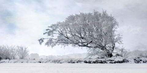 Hainbuche im Wind