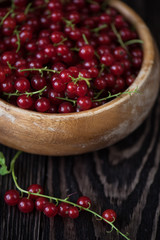 Fresh red currants