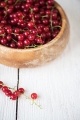 Fresh red currants