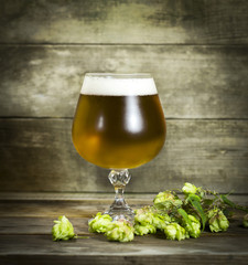 Gass of cold beer with hops