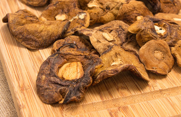 Dried mushrooms on canvas