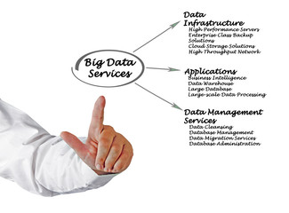 Big Data Services