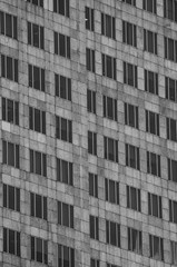 Office building windows, black and white image