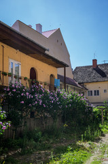 Fototapeta na wymiar Courtyard of house in Sibiu city in Romania