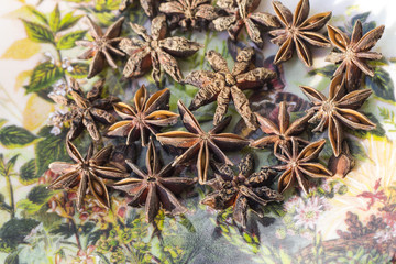 star anise on a colorful plate with floral embroidery tribe patt