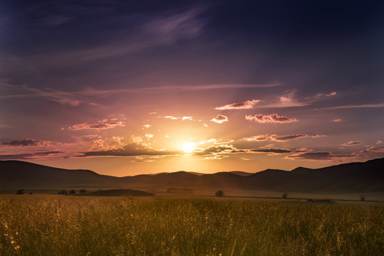 Gold Summer Grass Against The Background Of Colourful Sunset