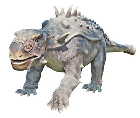 Close up of  Ankylosaurus dinosaur