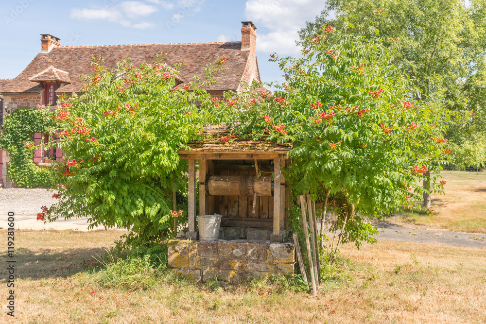 Wall mural puit dans jardin à la campagne