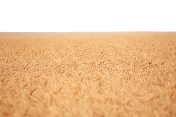 Field isolated
