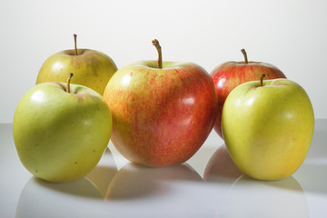 Multi-colored apples on a white background