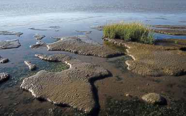 Nationalpark,Wattenmeer,Niedersachsen,