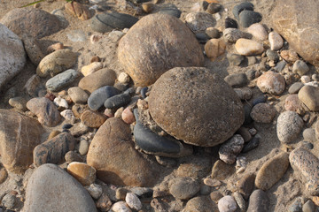 Gravel on the surface of the earth