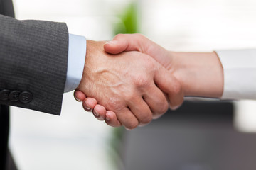 Business and office concept. Businessman shaking hands each other
