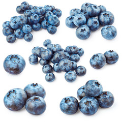 Blueberries isolated on white background