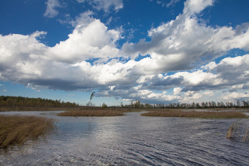 Lake landscape with waves in autumn and blue sky with clouds in windy day