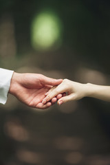 Wedding couple bride and groom holding hands