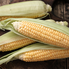 Fresh corn on cobs on rustic wooden table, closeup