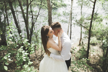 Naklejka premium Kissing wedding couple staying over beautiful landscape