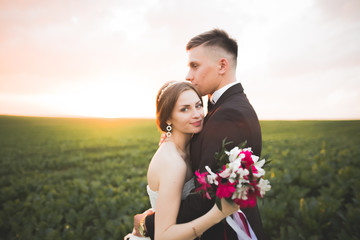 Lovely wedding couple, bride and groom posing in field during sunset