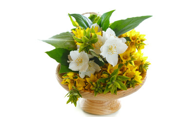 beautiful yellow summer flowers