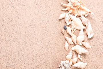 Fototapeta na wymiar Summer concept with sandy beach, shells and cord.