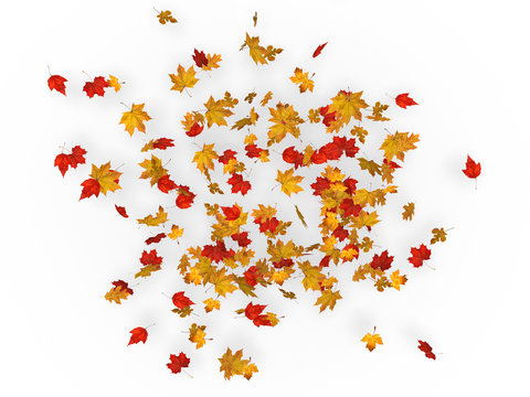 Autumn Leaves Whirlwind