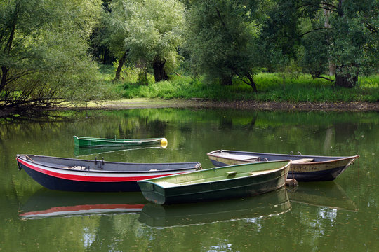 Naturschutzgebiet Siegaue